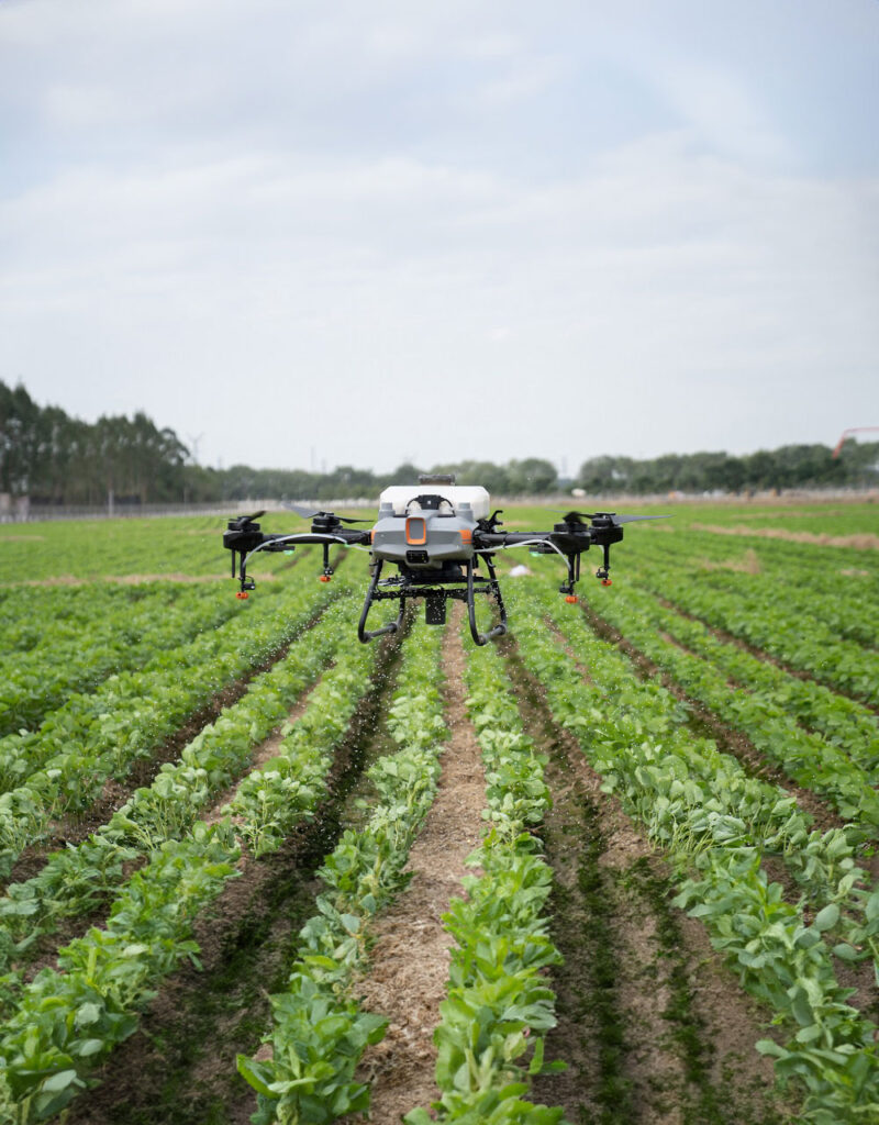 Ψεκαστικό drone της DJI Agras σε δράση σε γεωργικό χωράφι.